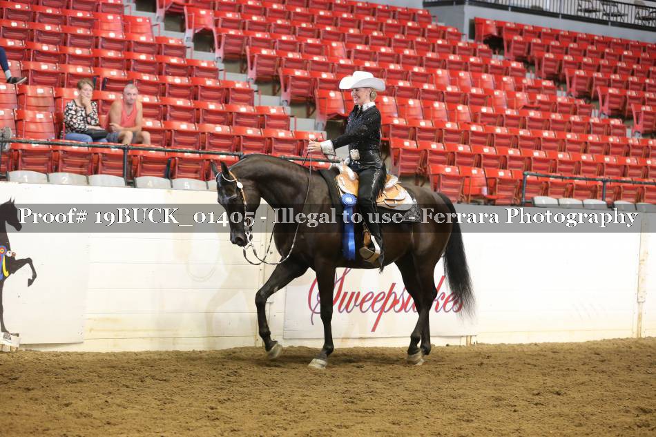 Proof 19BUCK_01405