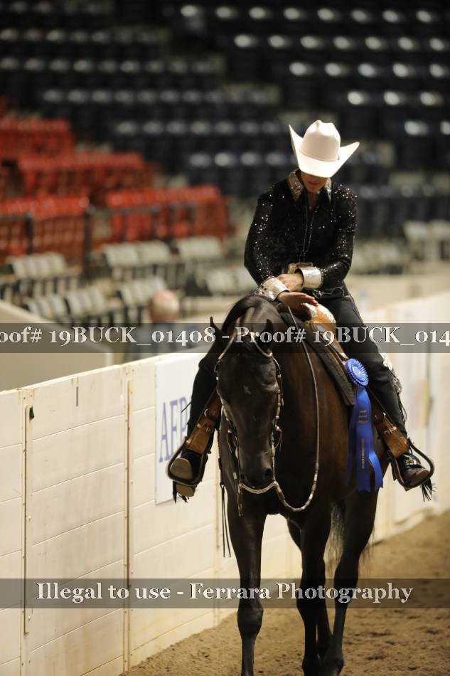 Proof 19BUCK_01408