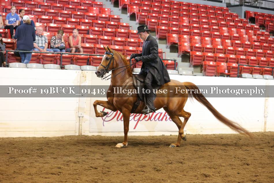 Proof 19BUCK_01413