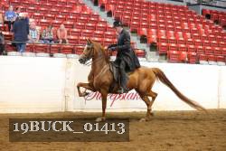19BUCK_01413 proof