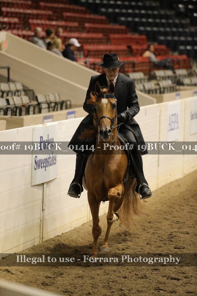 Proof 19BUCK_01414