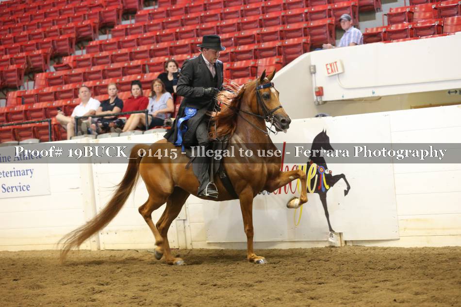 Proof 19BUCK_01415