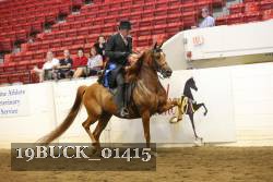 19BUCK_01415 proof