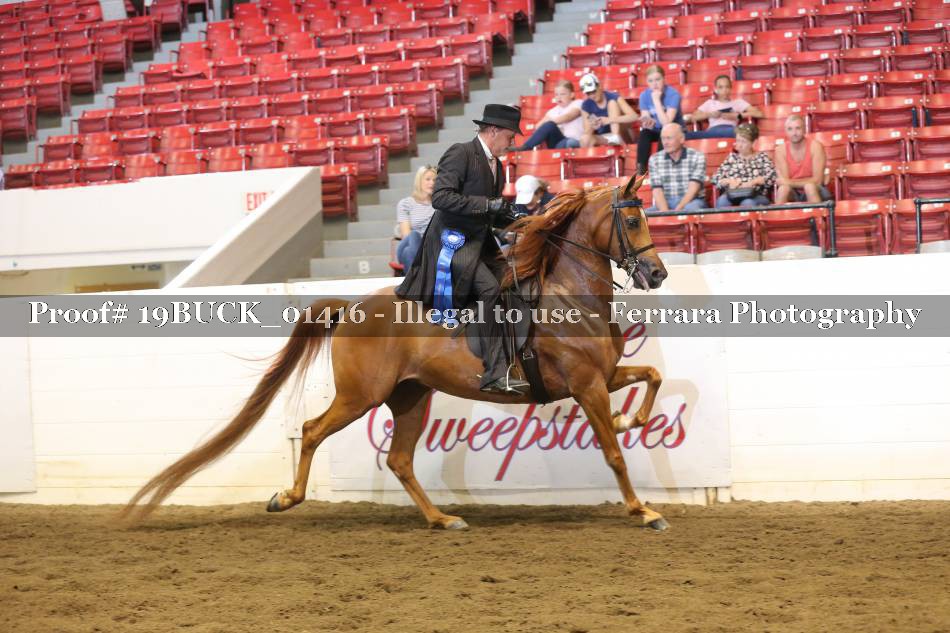 Proof 19BUCK_01416