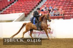 19BUCK_01416 proof