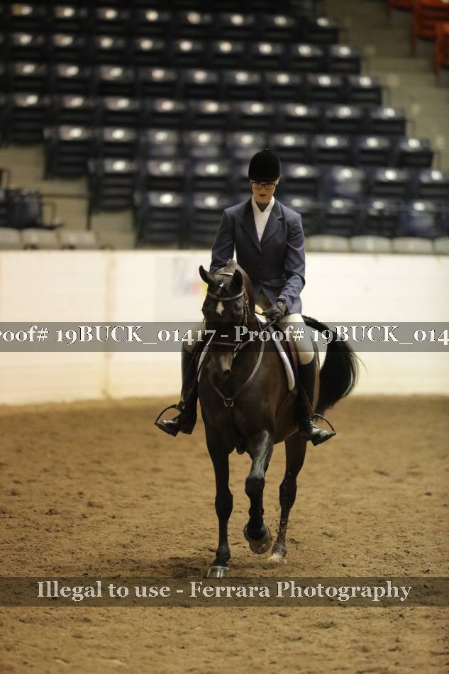 Proof 19BUCK_01417