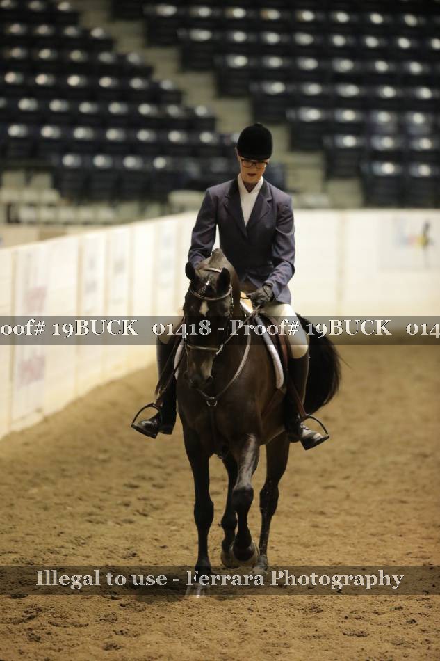 Proof 19BUCK_01418