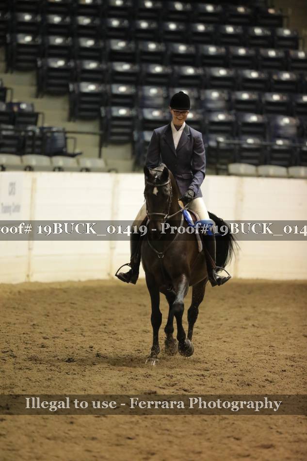 Proof 19BUCK_01419