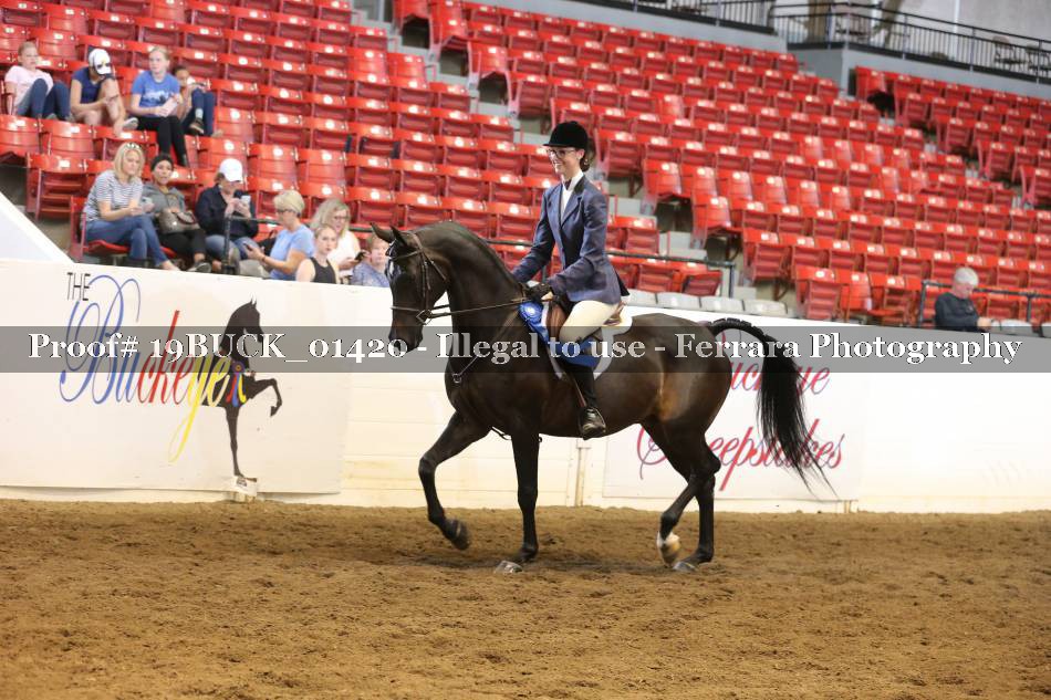 Proof 19BUCK_01420