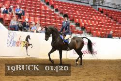 19BUCK_01420 proof