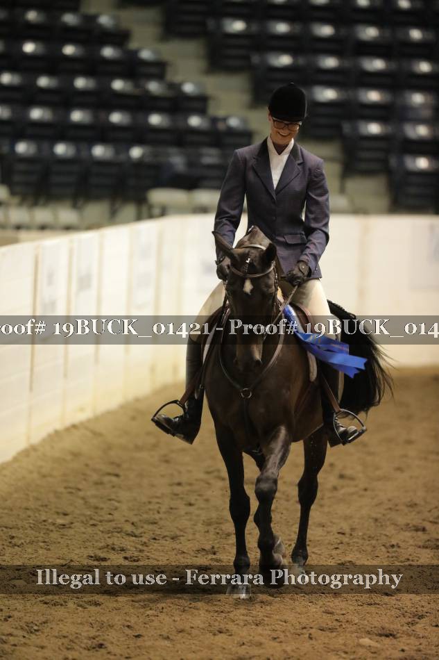 Proof 19BUCK_01421
