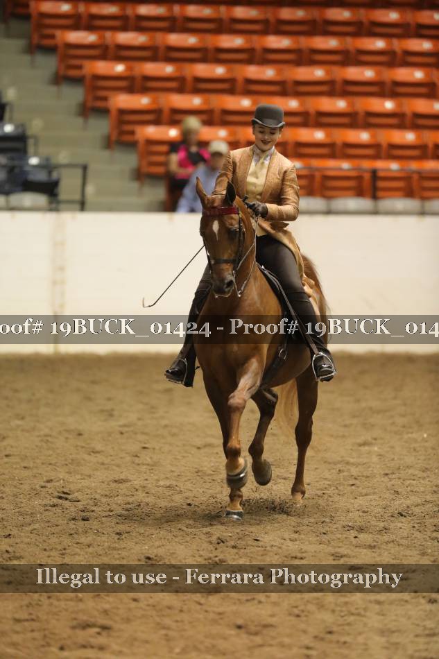 Proof 19BUCK_01424