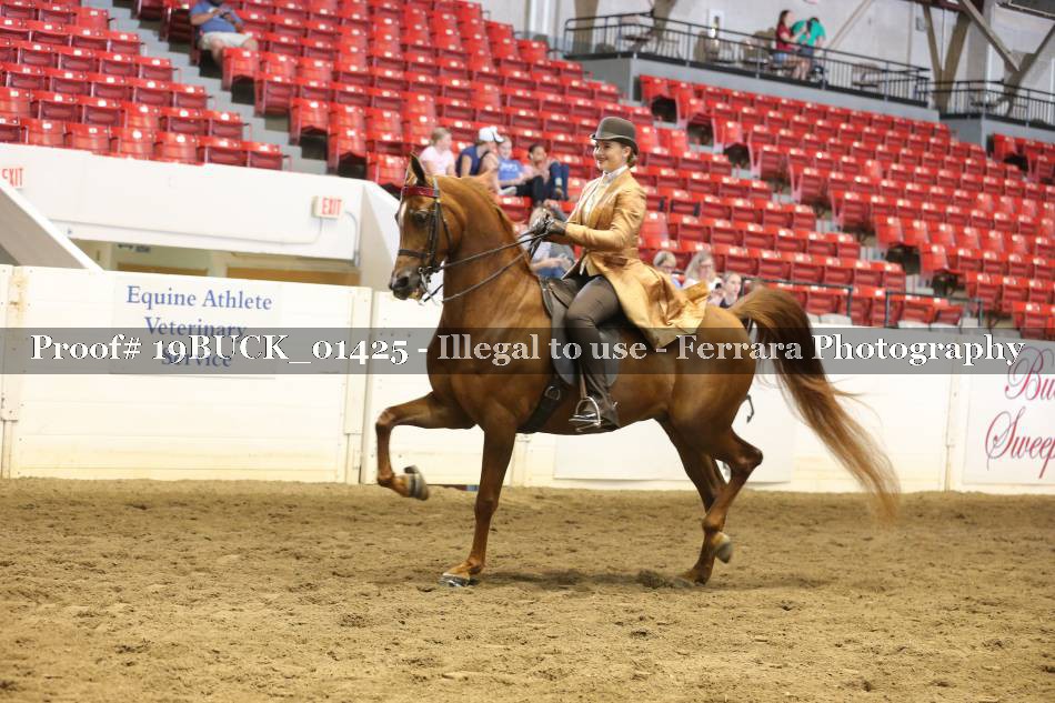 Proof 19BUCK_01425