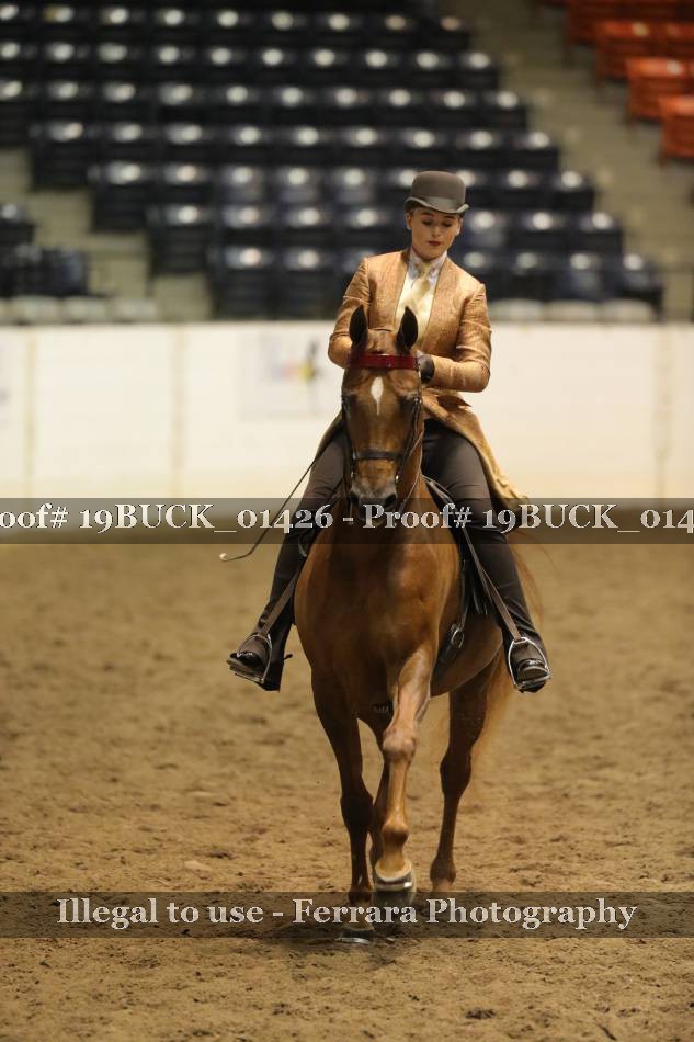Proof 19BUCK_01426