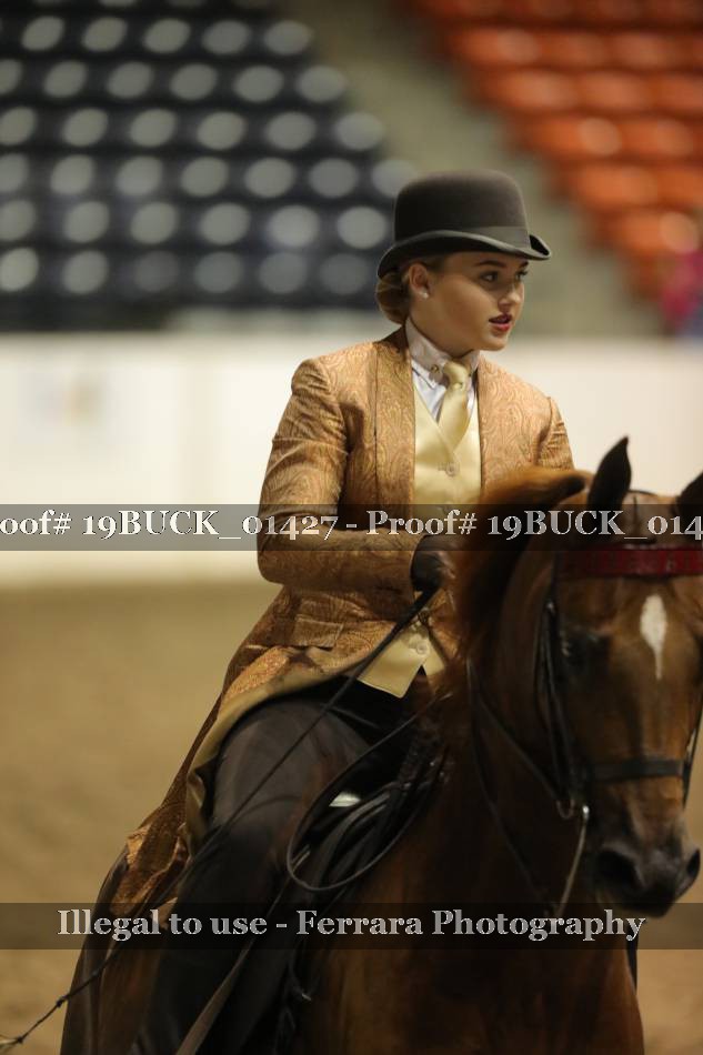Proof 19BUCK_01427
