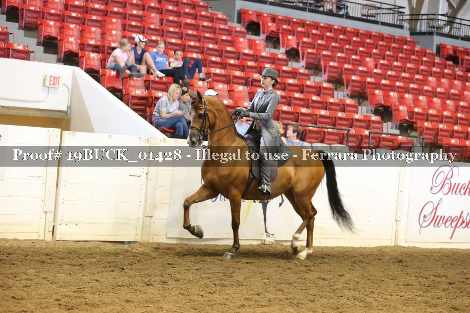 Proof 19BUCK_01428
