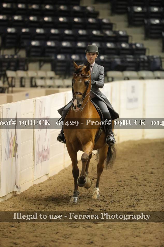 Proof 19BUCK_01429