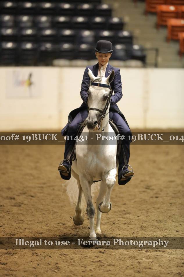 Proof 19BUCK_01431