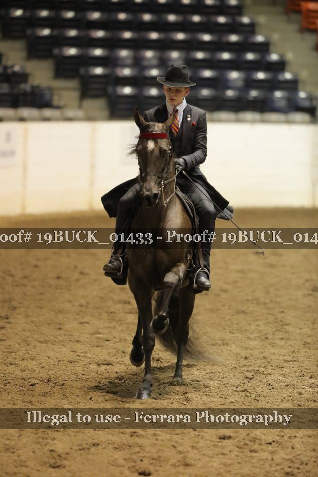 Proof 19BUCK_01433