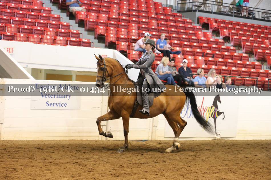 Proof 19BUCK_01434