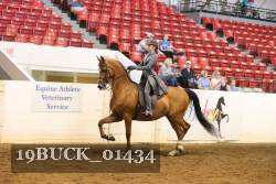 19BUCK_01434 proof