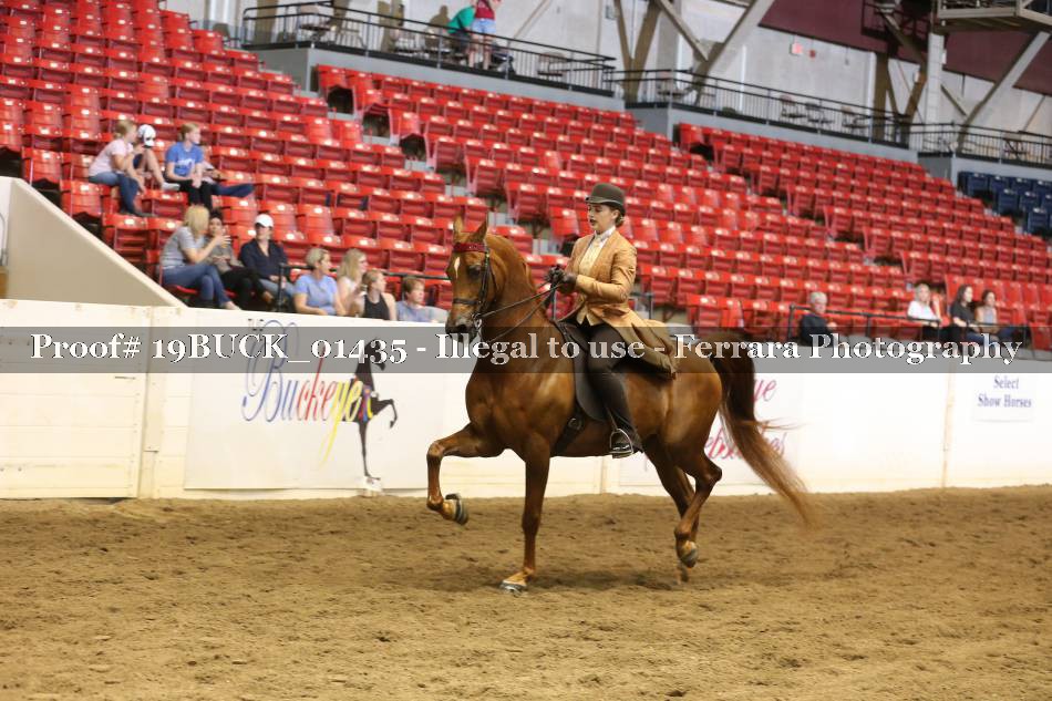 Proof 19BUCK_01435