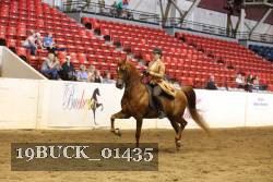 19BUCK_01435 proof