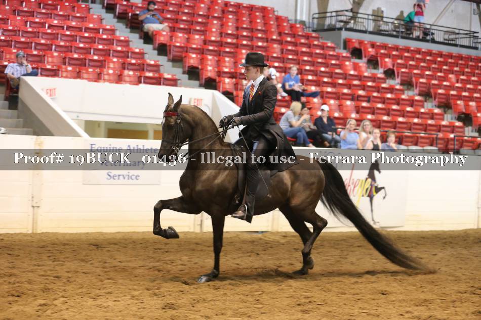 Proof 19BUCK_01436
