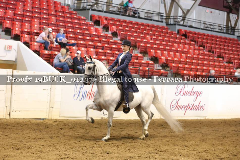 Proof 19BUCK_01437