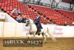 19BUCK_01437 proof