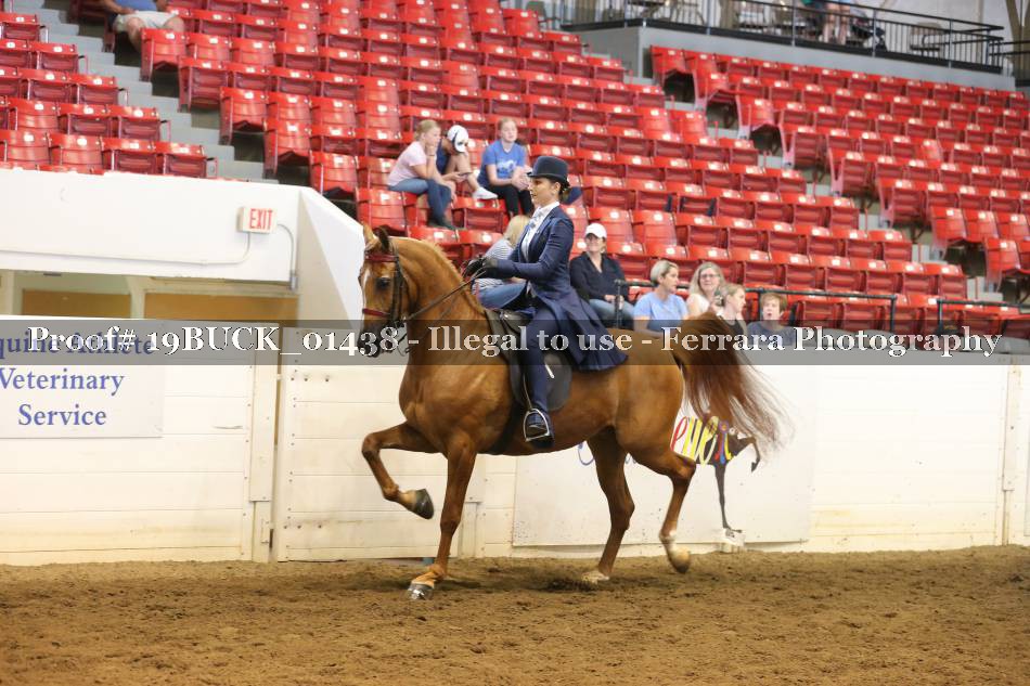 Proof 19BUCK_01438