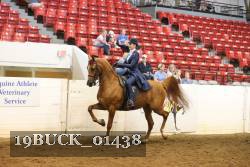 19BUCK_01438 proof