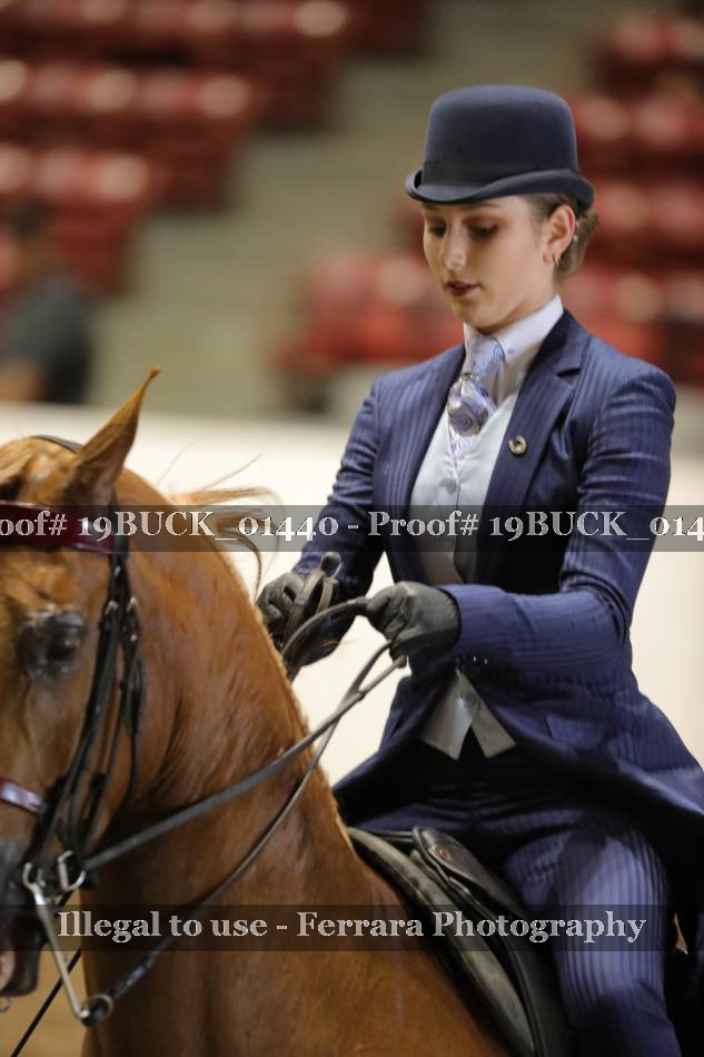 Proof 19BUCK_01440