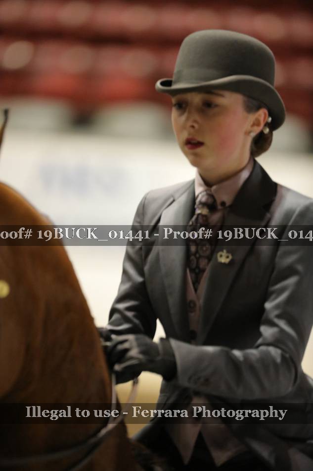 Proof 19BUCK_01441