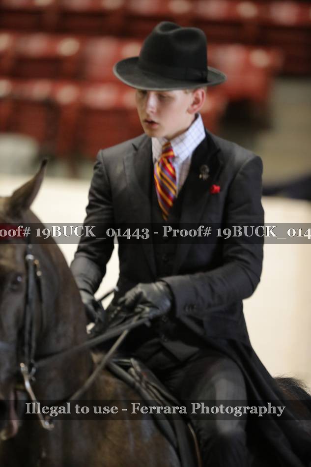 Proof 19BUCK_01443
