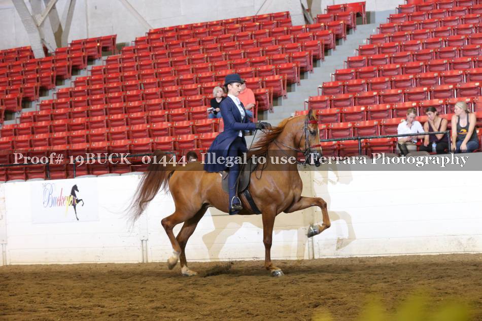 Proof 19BUCK_01444