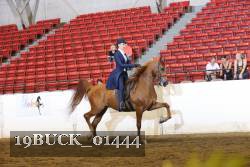 19BUCK_01444 proof