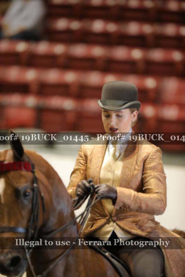 Proof 19BUCK_01445