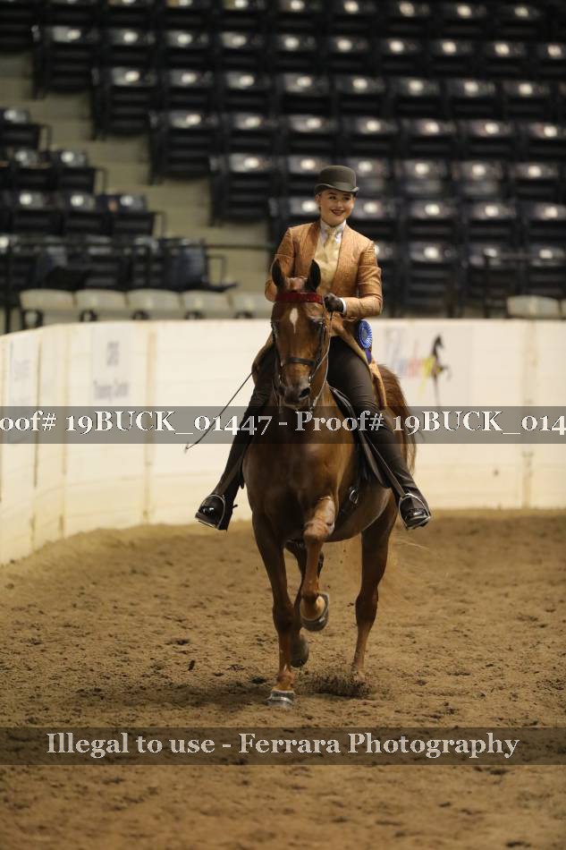 Proof 19BUCK_01447
