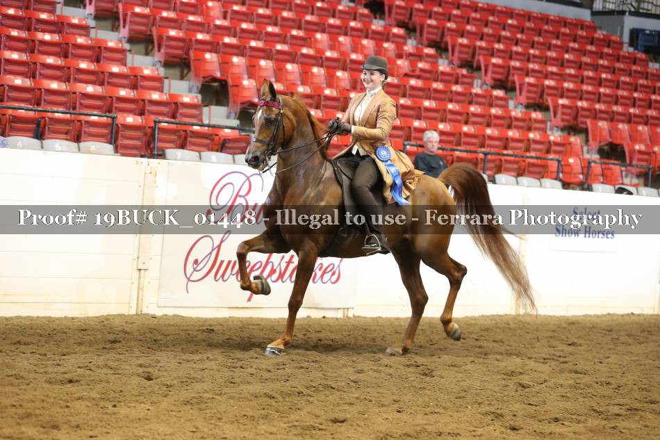 Proof 19BUCK_01448