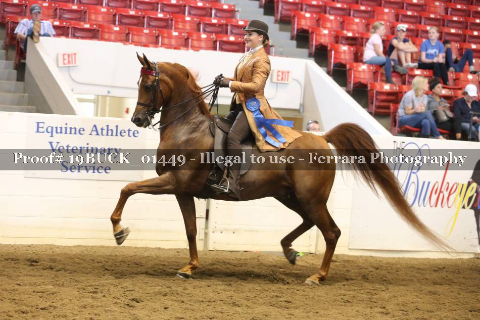 Proof 19BUCK_01449