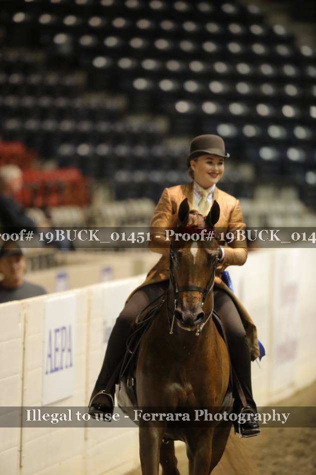 Proof 19BUCK_01451
