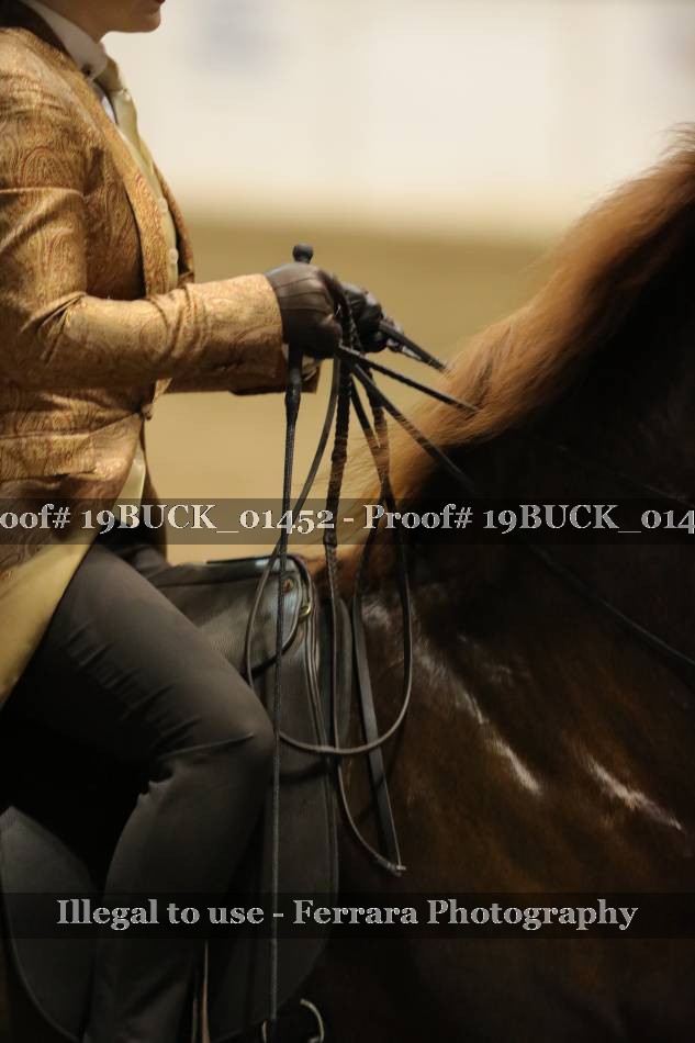 Proof 19BUCK_01452