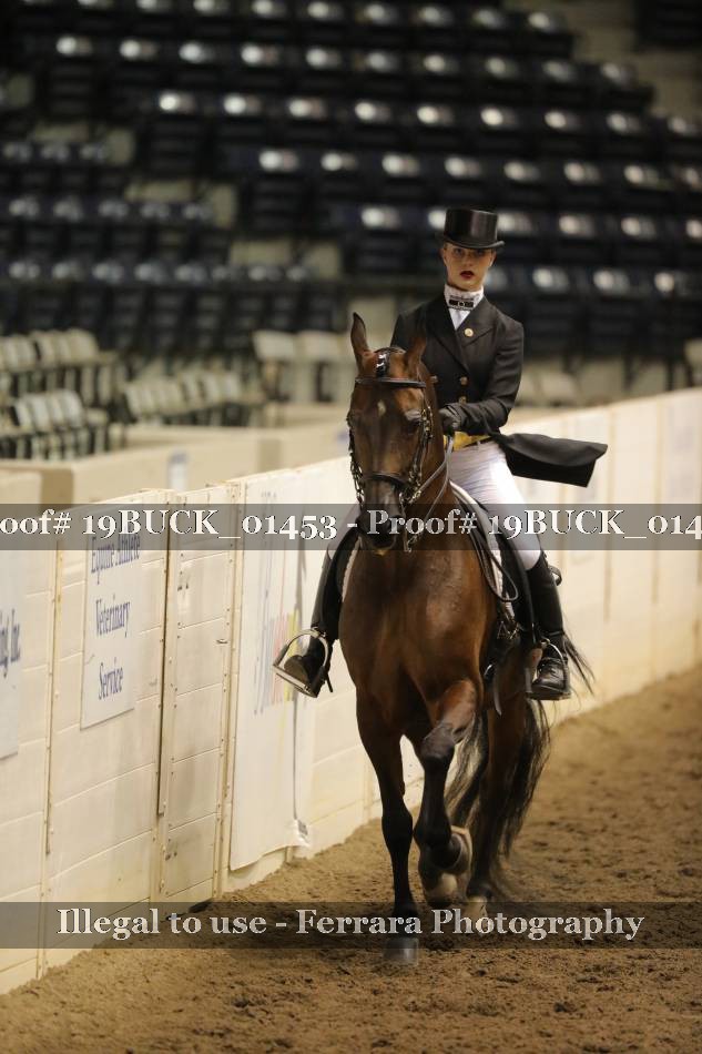 Proof 19BUCK_01453