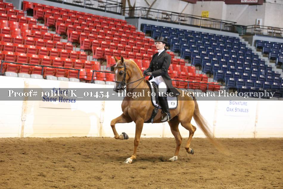 Proof 19BUCK_01454