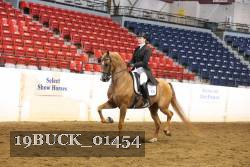 19BUCK_01454 proof