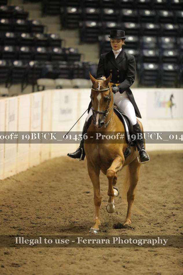 Proof 19BUCK_01456