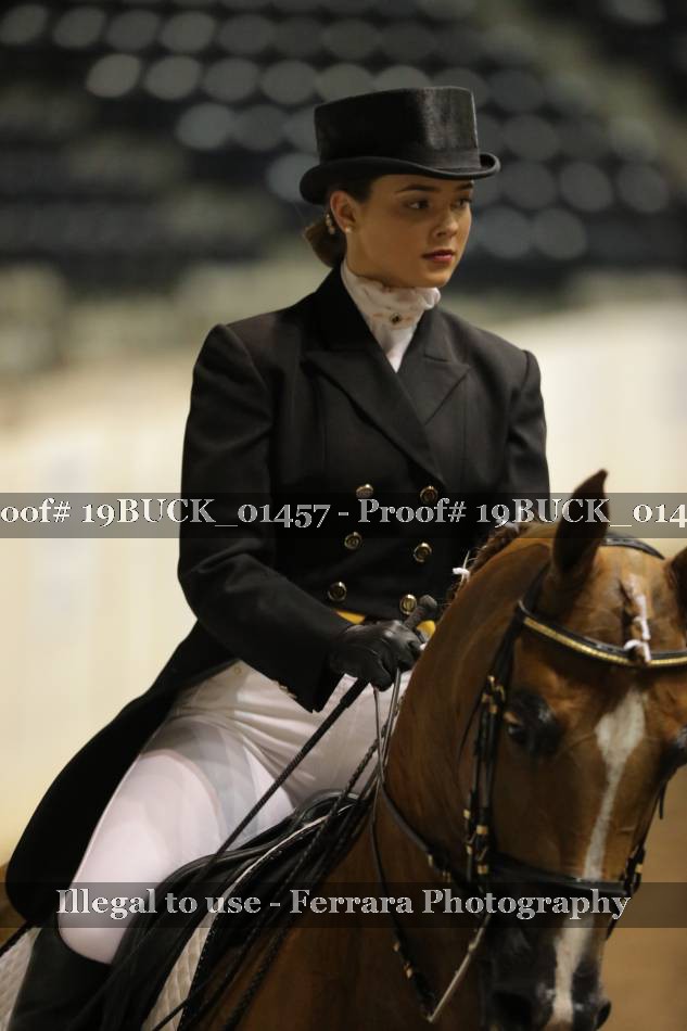 Proof 19BUCK_01457