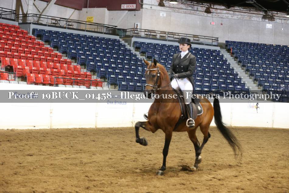 Proof 19BUCK_01458