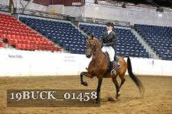 19BUCK_01458 proof